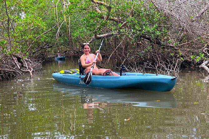 Guided Hobie Kayak Adventure: Enhanced Island Eco Experience! - Wildlife Sightings and Discoveries