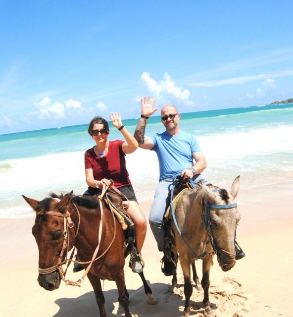 Guided Horseback Riding Punta Cana - Booking and Reservations