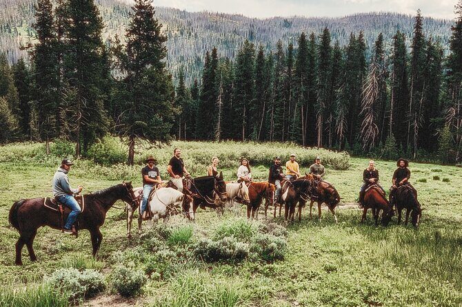 Guided Horseback Trail Rides - An In-Depth Look at the Experience