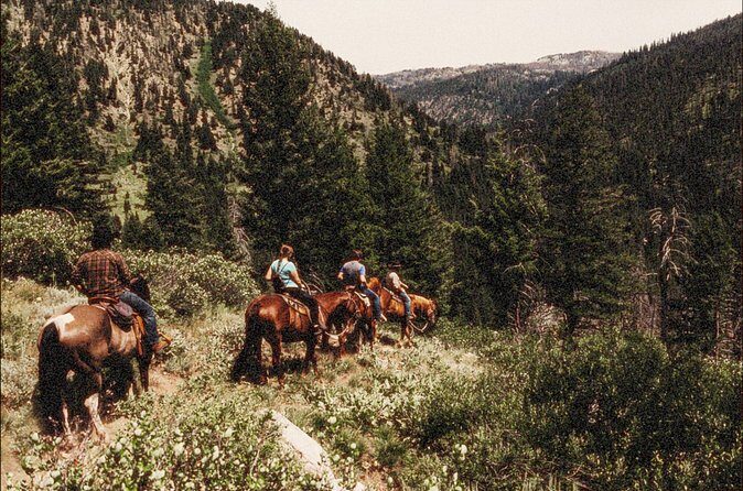 Guided Horseback Trail Rides - FAQs