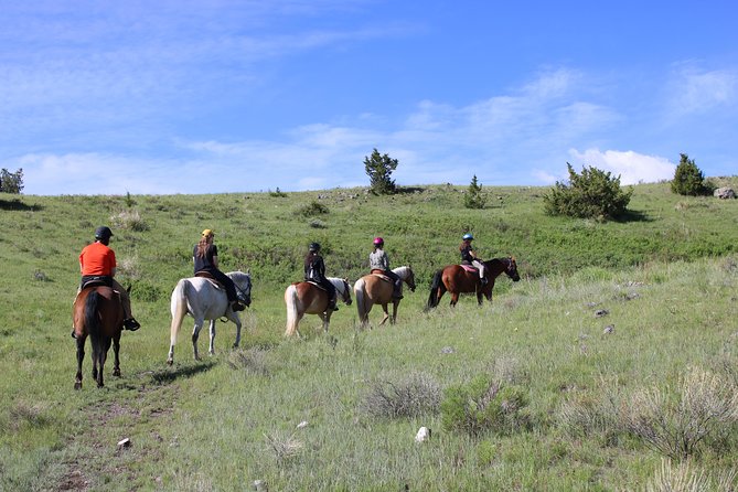 Guided Horseback Trek Through Blue Flower Trail - Embarking on the Horseback Adventure