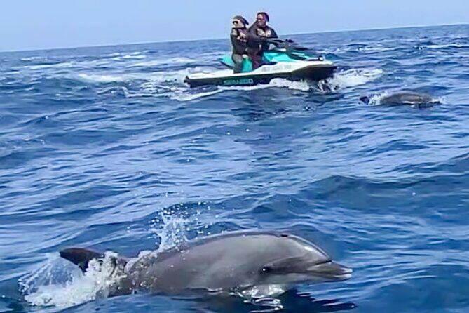 Guided Jet Ski Adventure in Two Harbors Catalina Island - What’s Included and What to Expect  