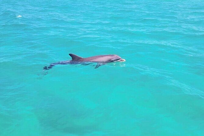 Guided Jet Ski Adventure Tour - FAQ