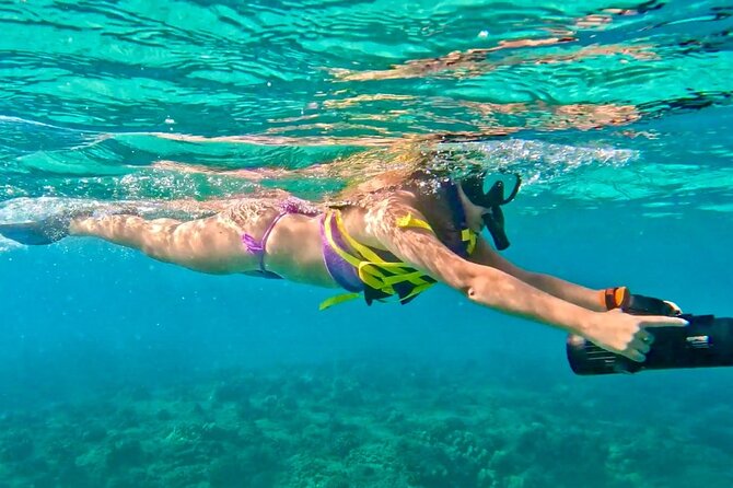 Guided Jet Snorkel Experience, Free Videos in West Palm Beach - Good To Know