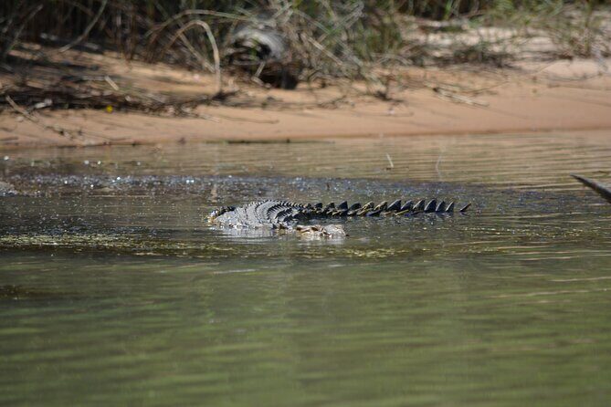 Guided Kakadu Day Tour - FAQ