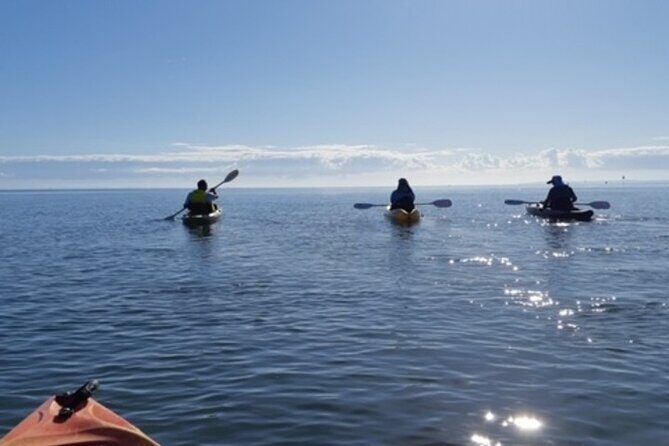 Guided Kayak Adventure Tour - A Genuine Look at the Guided Kayak Adventure Tour