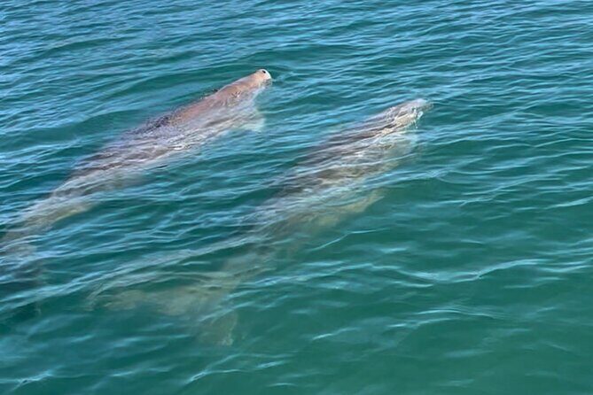 Guided Kayak Adventure Tour - The Sum Up