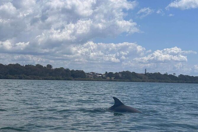 Guided Kayak Adventure Tour - FAQ