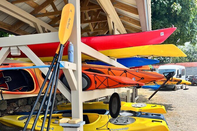 Guided Kayak at the Crane Estate - A Detailed Look at the Guided Kayak Tour at the Crane Estate