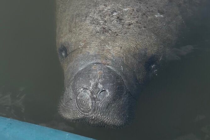 Guided Kayak Experience at EG Simmons Park - A Closer Look at the Tour Experience