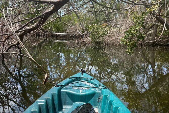 Guided Kayak Experience at EG Simmons Park - Who Should Consider This Tour?