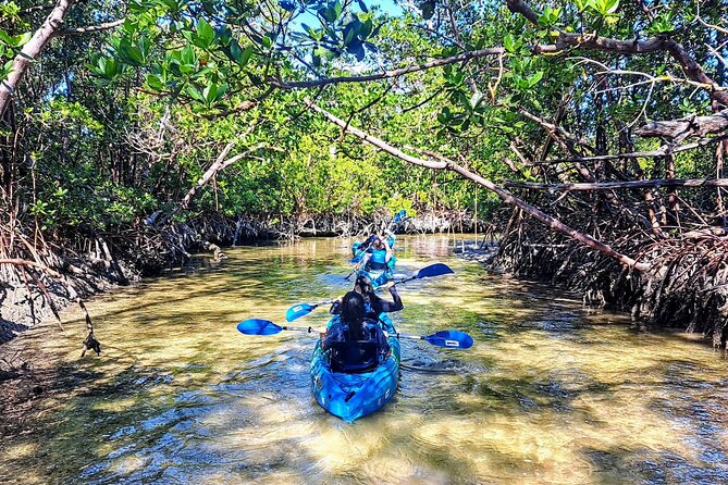 Guided Kayak Mangrove Ecotour in Rookery Bay Reserve, Naples - Included Amenities