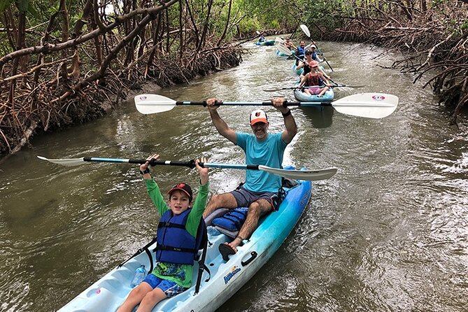 Guided Kayak Mangrove Ecotour in Rookery Bay Reserve, Naples - Health and Safety Guidelines