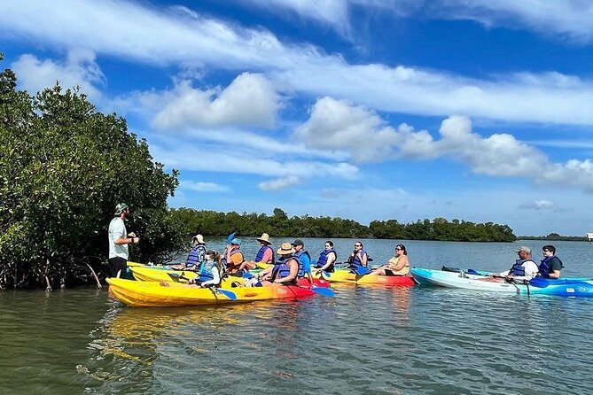 Guided Kayak Mangrove Ecotour in Rookery Bay Reserve, Naples - Booking Process