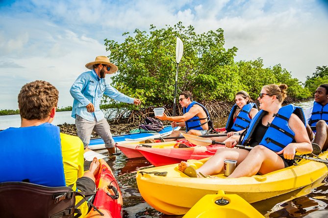 Guided Kayak Mangrove Ecotour in Rookery Bay Reserve, Naples - Wildlife Spotting Opportunities