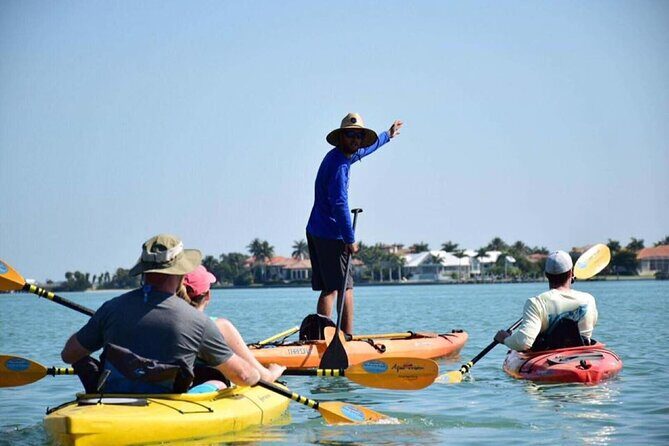 Guided Kayak Tour from Margaritaville - The Sum Up