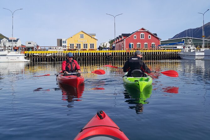 Guided Kayak Tour in Siglufjordur. - Good To Know
