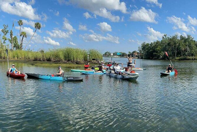Guided Kayak Tour of Crystal Rivers Springs and Wildlife - Why This Tour Offers Good Value