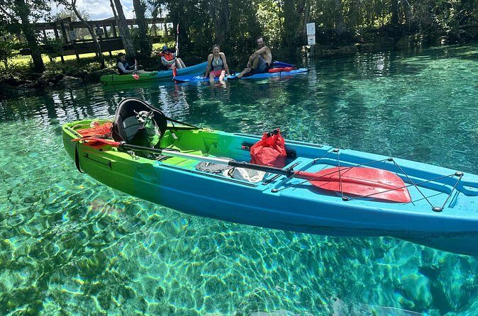 Guided Kayak Tour of Crystal Rivers Springs and Wildlife - A Few Considerations Before Booking