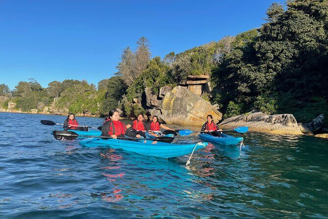 Guided Kayak Tour of Manly Cove Beaches - Key Points