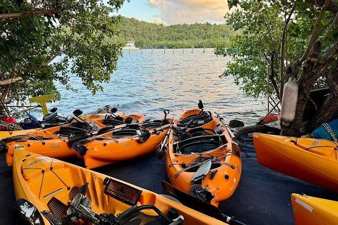 Guided Kayak Tour of Salt River Bay Ecology and History - Exploring Salt River Bay: A Kayak Tour That Balances Nature and History