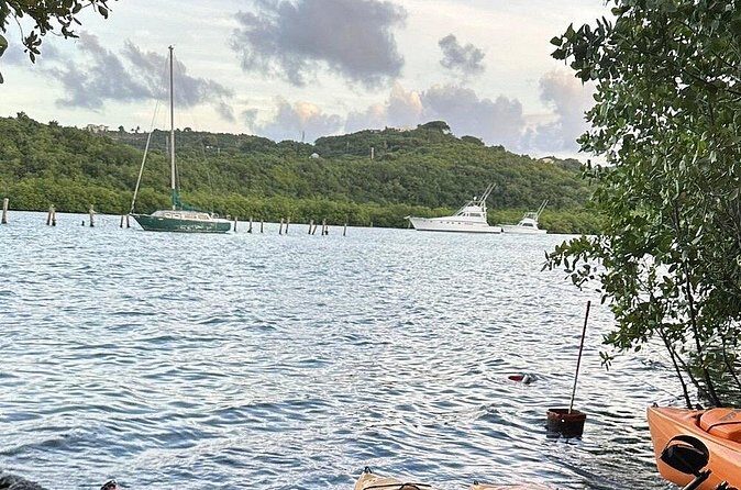 Guided Kayak Tour of Salt River Bay Ecology and History - FAQ