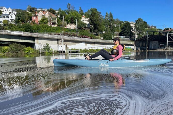 Guided Kayak Tour on Launceston's scenic waterfront on foot powered Hobie kayaks - An In-Depth Look at Launceston’s Scenic Waterways