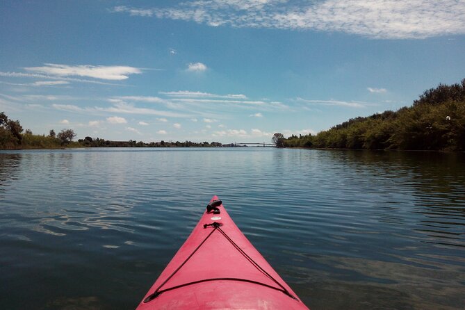 Guided Kayak Tour to Gracia Island - Accessibility and Participation