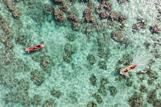 Guided Kayak Tour to Kailuas Twin Islands - Key Points