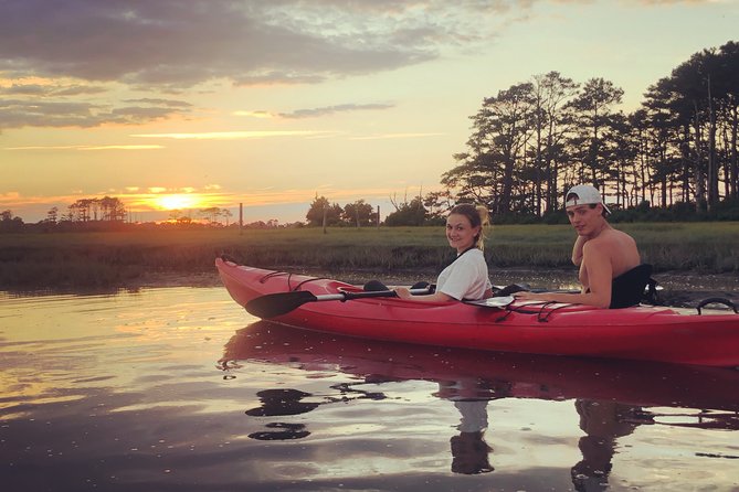 Guided Kayak Tour to See Ponies, Birds, Dolphins and More - Customer Feedback and Ratings