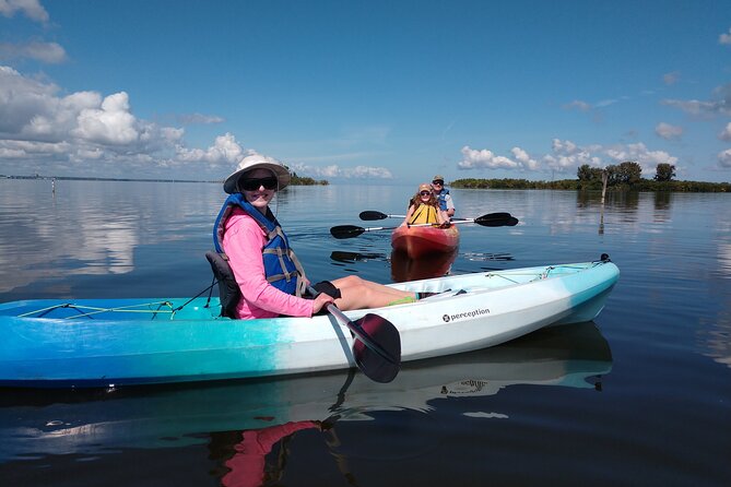 Guided Kayak Tour With Manatee & Dolphin Sightings - Accessibility Considerations