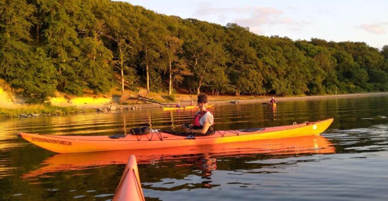 Guided kayaking on Roskilde Fjord: Private tour - An Overview of the Experience  
