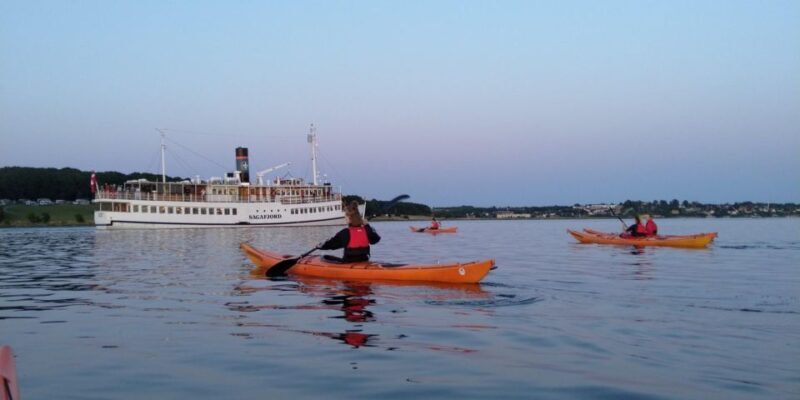 Guided kayaking on Roskilde Fjord: Sunday afternoon - Key Points