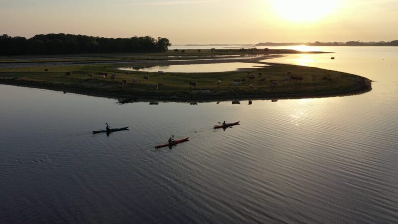 Guided kayaking on Roskilde Fjord: Sunset tour - The Start: Meeting at Vigen Beach Park