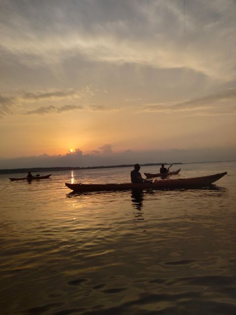 Guided kayaking on Roskilde Fjord: Sunset tour - What’s Included and What’s Not