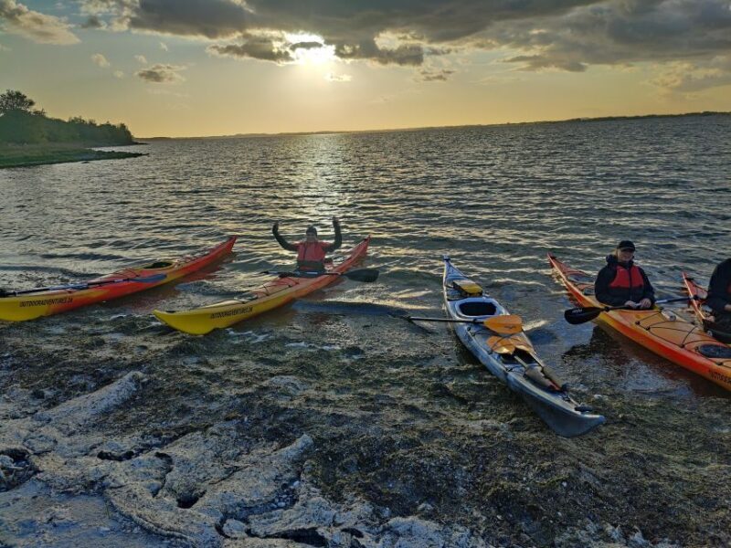 Guided kayaking on Roskilde Fjord: Sunset tour - The Experience: Authentic, Scenic, and Peaceful