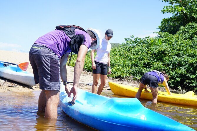 Guided Kayaking Tour of the Mitan Pond and its Mangrove - FAQ