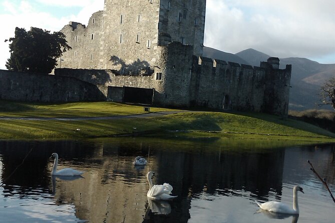 Guided Killarney National Park Walking Tour - Overview of Killarney National Park