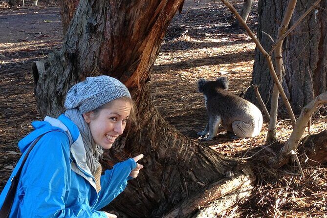 Guided Koala Walk and Bushfire ecology tour - Key Points