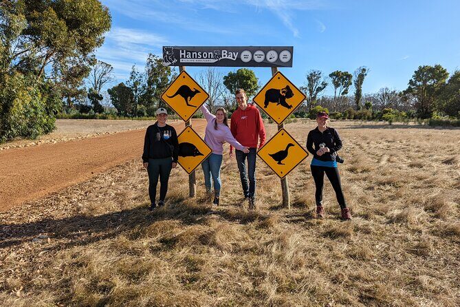 Guided Koala Walk and Bushfire ecology tour - The Sum Up: Is It Worth It?