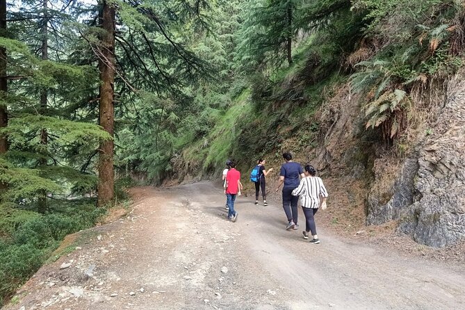 Guided Kora Circuit & Walking Tour Around McLeod Ganj - Booking Details