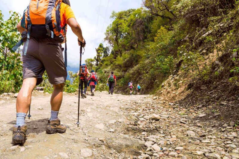 Guided Lama Dugh Hike in Manali - Trekking Route and Terrain