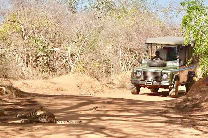 Guided Leopard Safari in Yala National Park in a Land Rover Defender - Confirmation Process