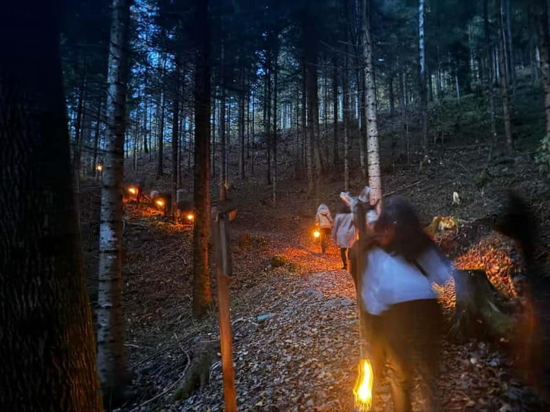 Guided llamawalk with a traditional, homemade cheesefondue - Why Choose This Experience?