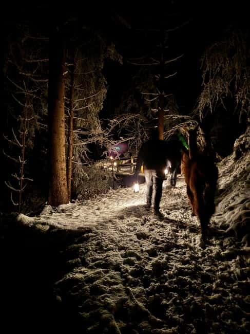Guided llamawalk with a traditional, homemade cheesefondue - In The Sum Up
