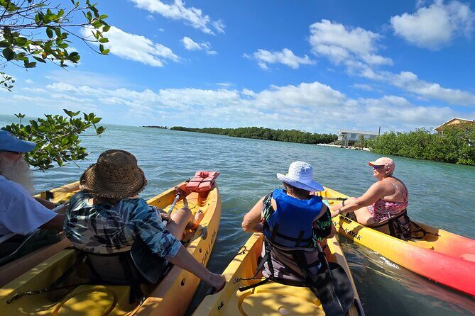 Guided Mangrove Eco Tours Kayak or Paddleboard Adventure - The Benefits of the Tour’s Design