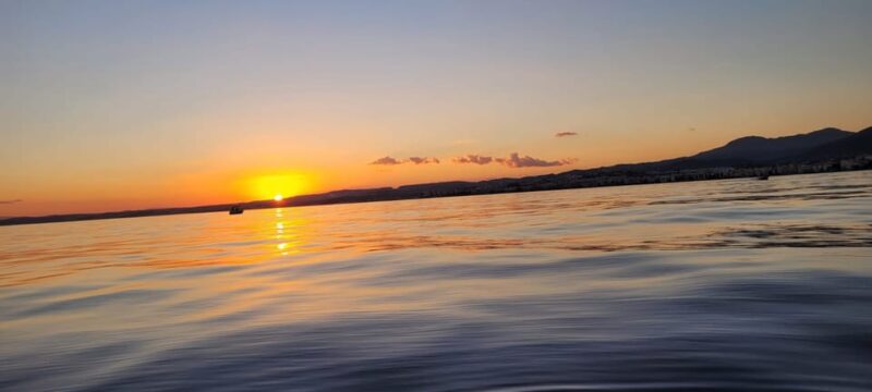 Guided Marine Life Excursion in Estepona - Customer Feedback