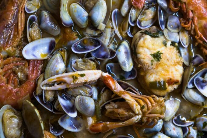 Guided Marine Life Excursion in Estepona - What to Expect