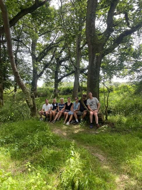Guided Nature Tour: Pilgrims Way & Bigbury Fort - Discovering Blean Woods: What You Can Expect