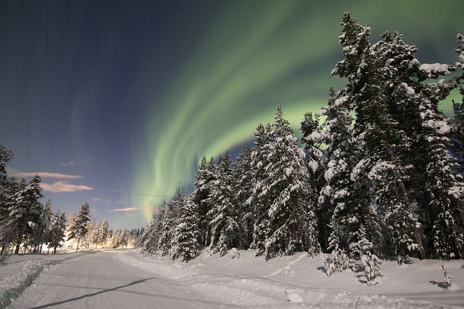 Guided Northern Lights Tour at Kiruna - Tour Overview